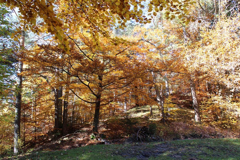 Tinnerhof Appiano Sulla Strada Del Vino Esterno foto