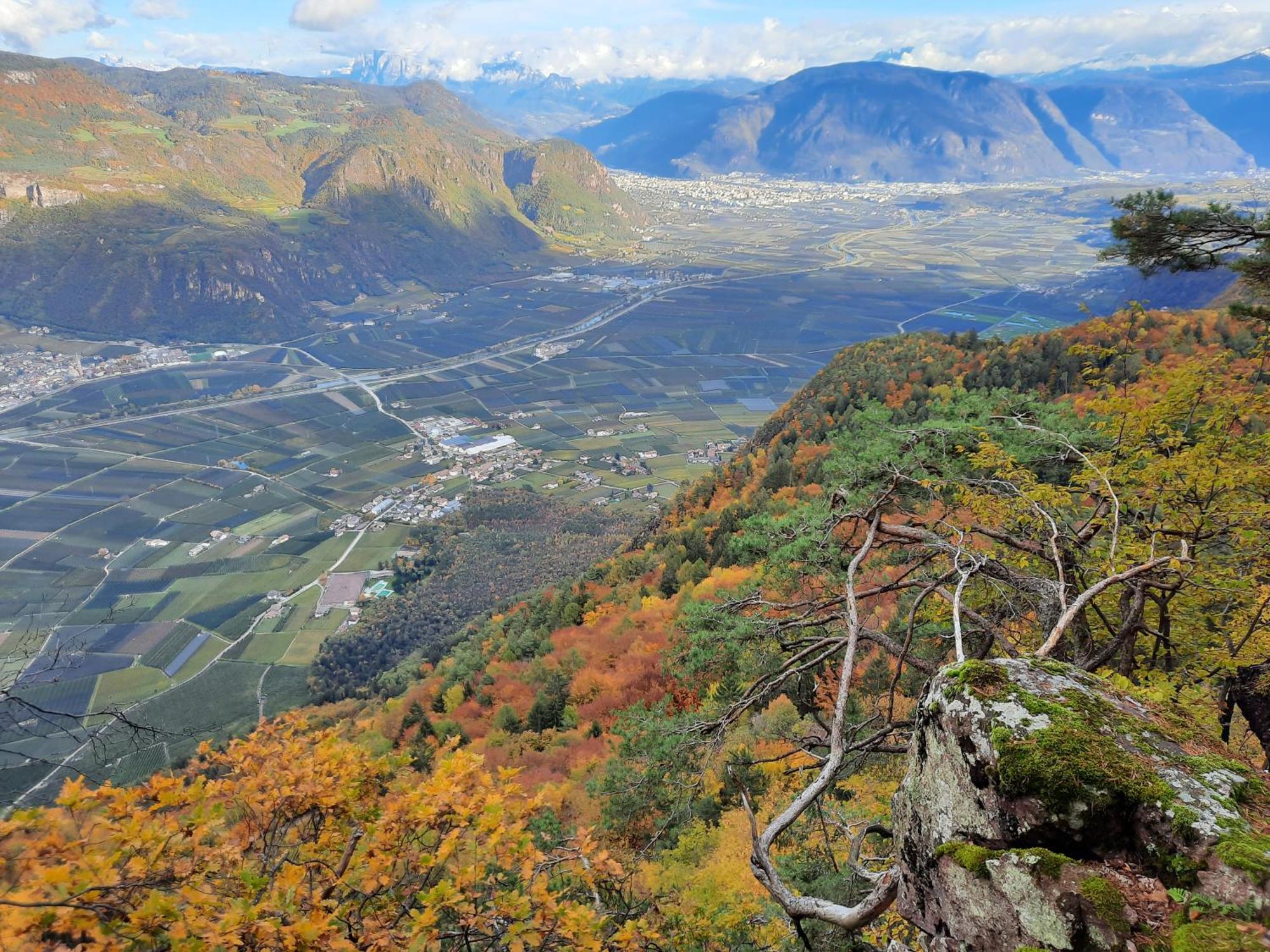 Tinnerhof Appiano Sulla Strada Del Vino Esterno foto