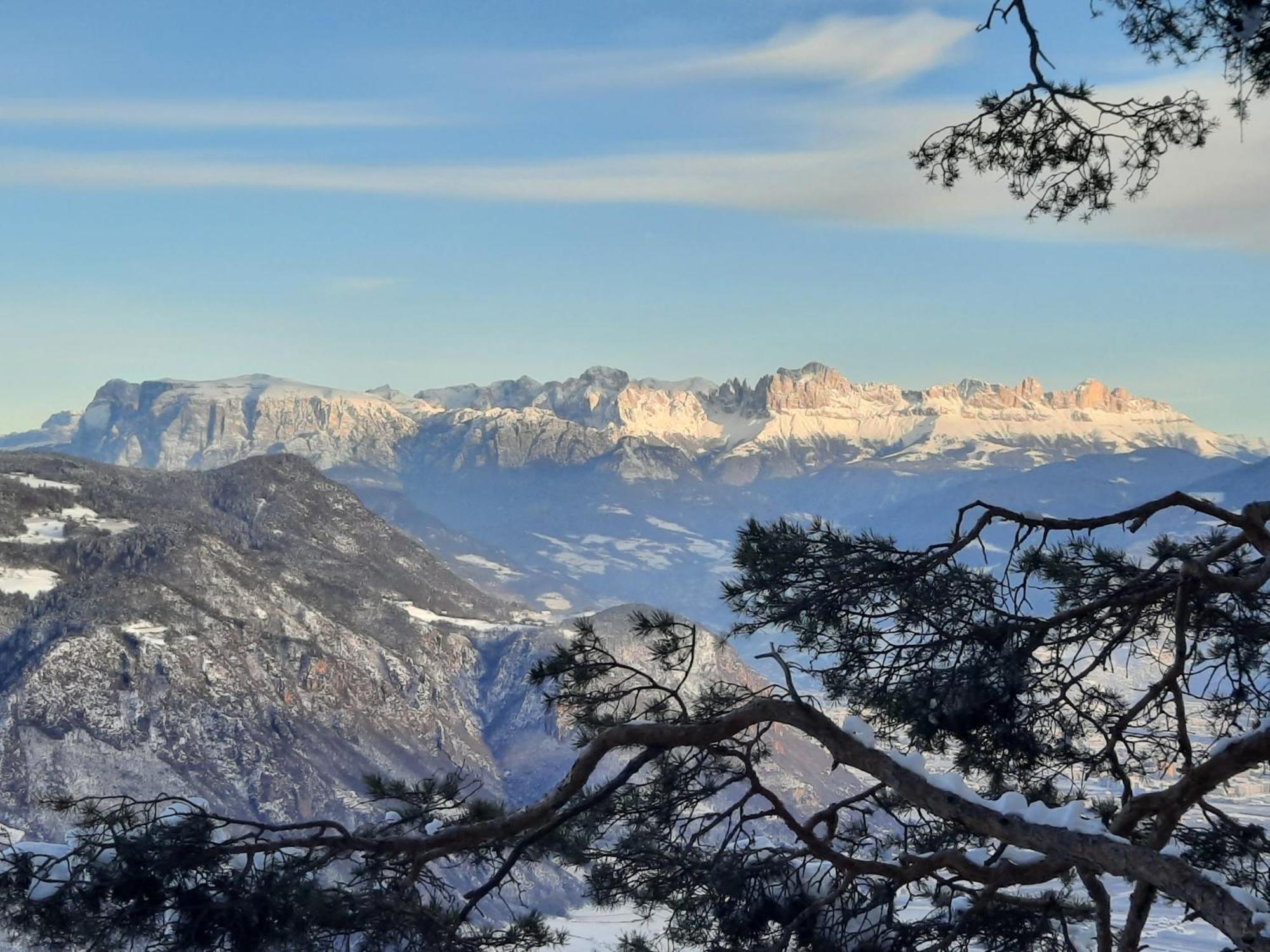Tinnerhof Appiano Sulla Strada Del Vino Esterno foto