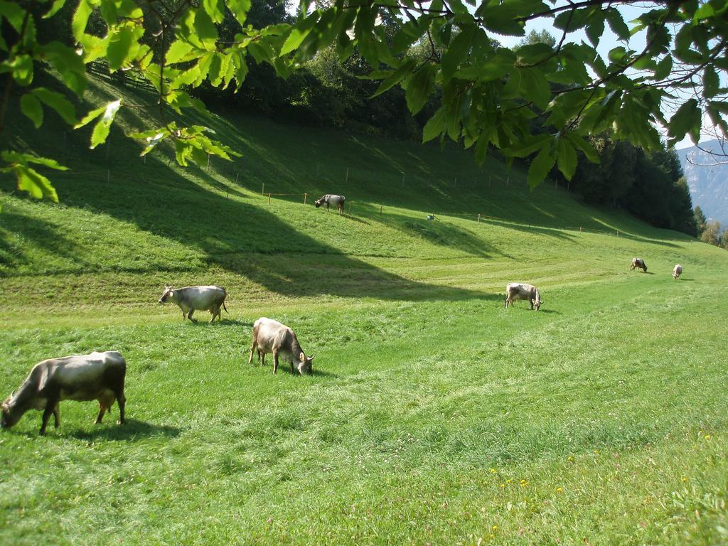 Tinnerhof Appiano Sulla Strada Del Vino Esterno foto