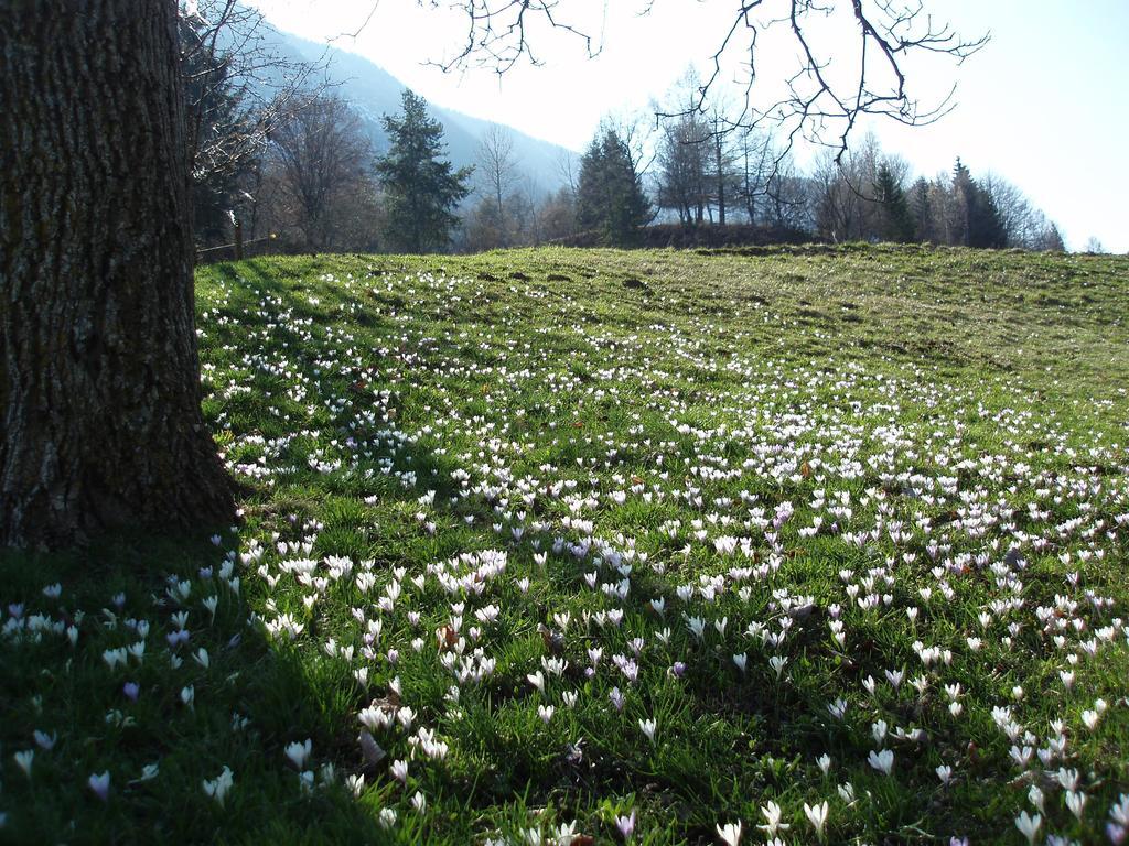 Tinnerhof Appiano Sulla Strada Del Vino Esterno foto