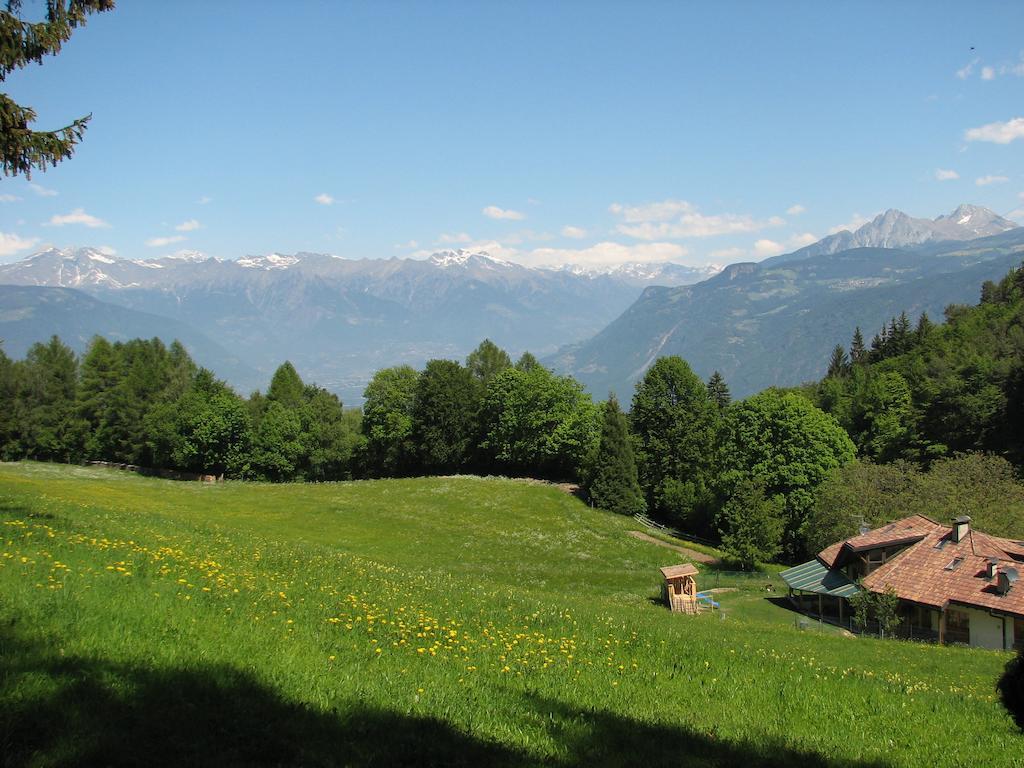 Tinnerhof Appiano Sulla Strada Del Vino Esterno foto