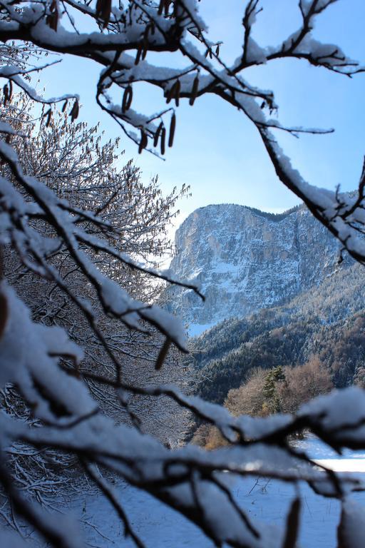 Tinnerhof Appiano Sulla Strada Del Vino Esterno foto
