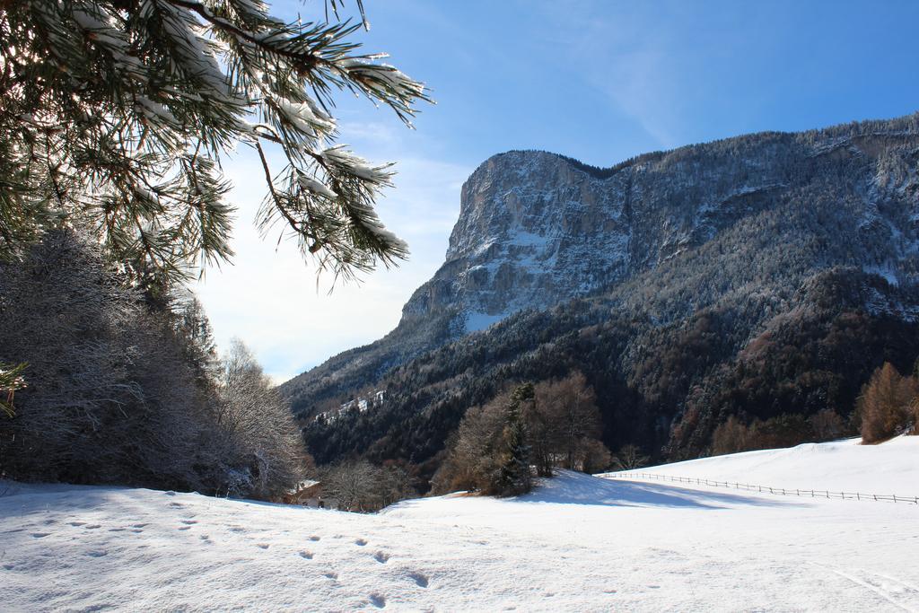 Tinnerhof Appiano Sulla Strada Del Vino Esterno foto