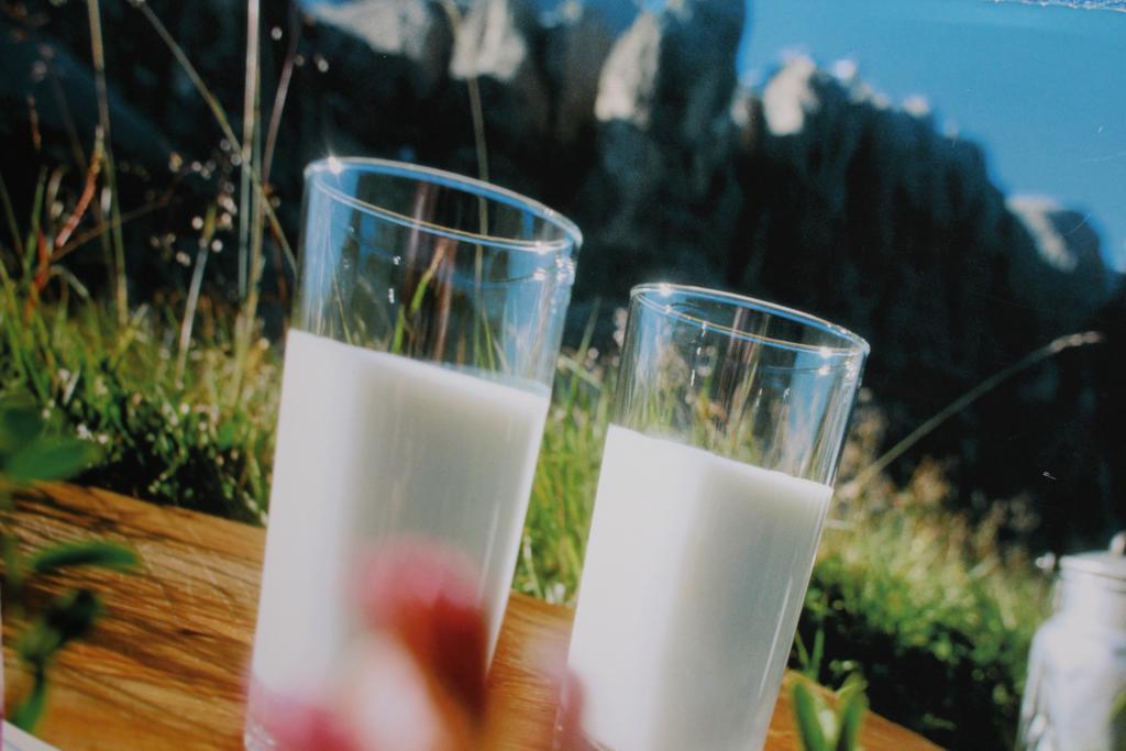 Tinnerhof Appiano Sulla Strada Del Vino Esterno foto