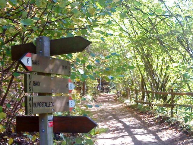 Tinnerhof Appiano Sulla Strada Del Vino Esterno foto